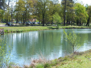 Plan-d-eau_imagefull.jpg